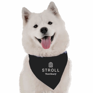 Stroll_Dog